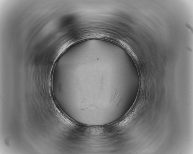 X0000093500802200710261136