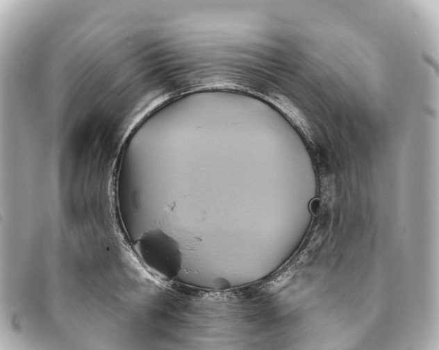 X0000093500806200710261136
