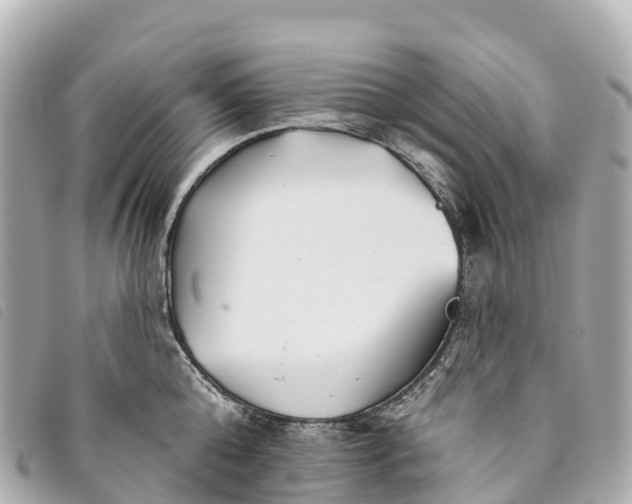 X0000093500808200710261136