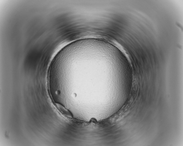 X0000093500811200710261136