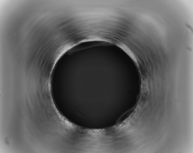 X0000093500813200710261136
