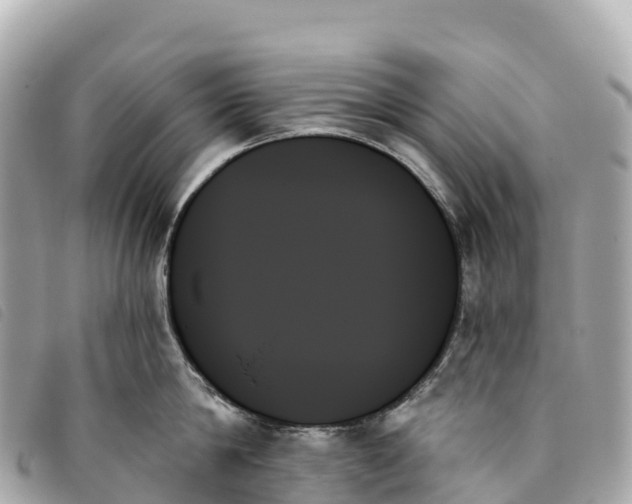 X0000093500814200710261136