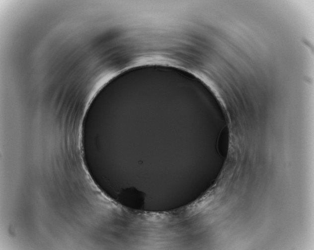 X0000093500815200710261136