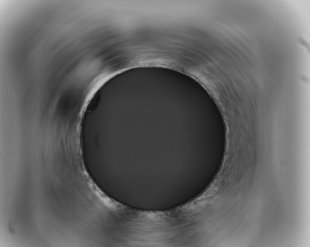X0000093500816200710261136