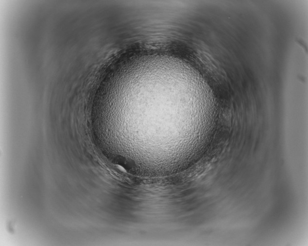X0000093500817200710261136