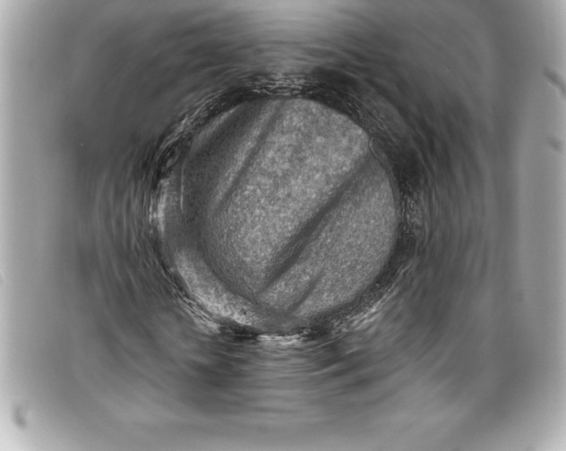 X0000093500818200710261136