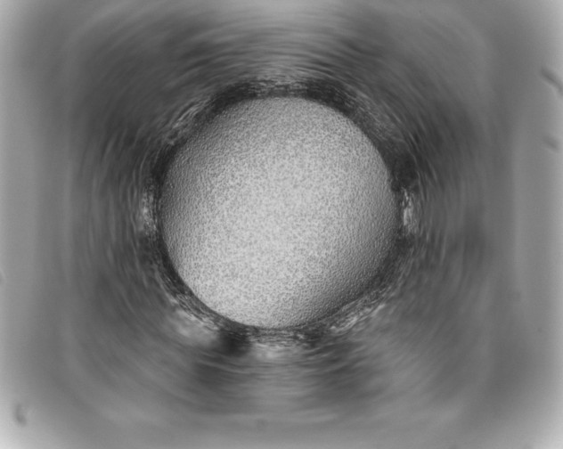 X0000093500819200710261136