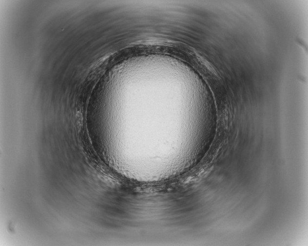 X0000093500821200710261136