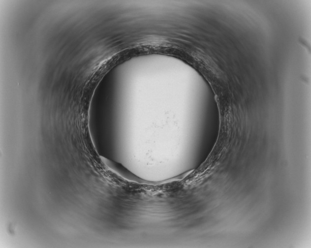 X0000093500822200710261136