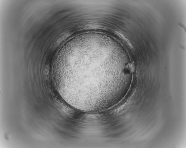 X0000093500825200710261136