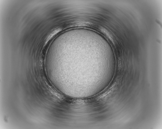 X0000093500827200710261136