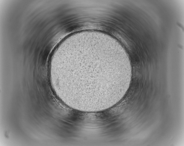 X0000093500828200710261136