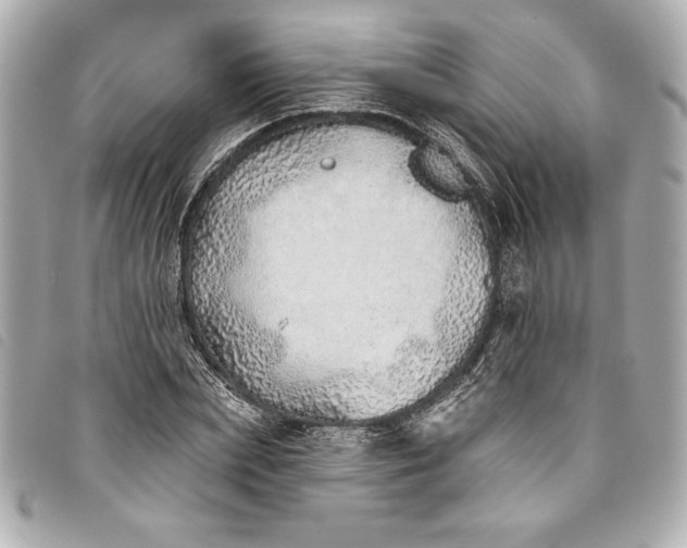X0000093500831200710261136
