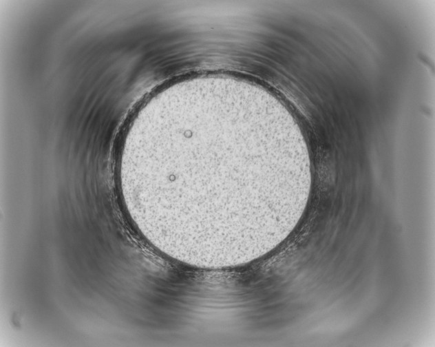 X0000093500832200710261136