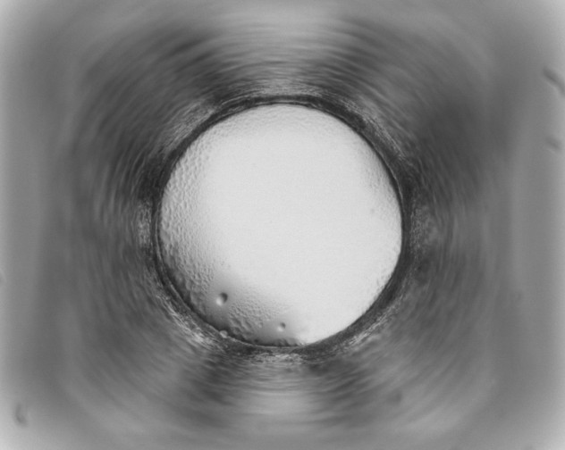 X0000093500833200710261136