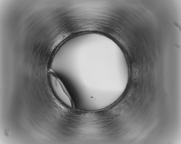 X0000093500834200710261136
