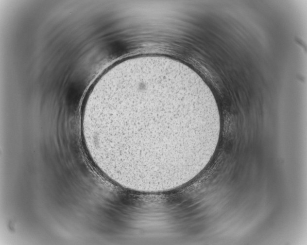 X0000093500836200710261136