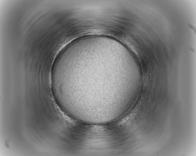 X0000093500839200710261136