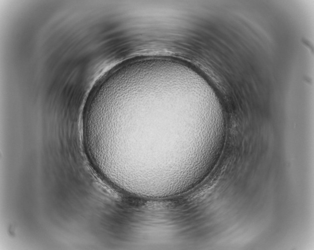 X0000093500840200710261136