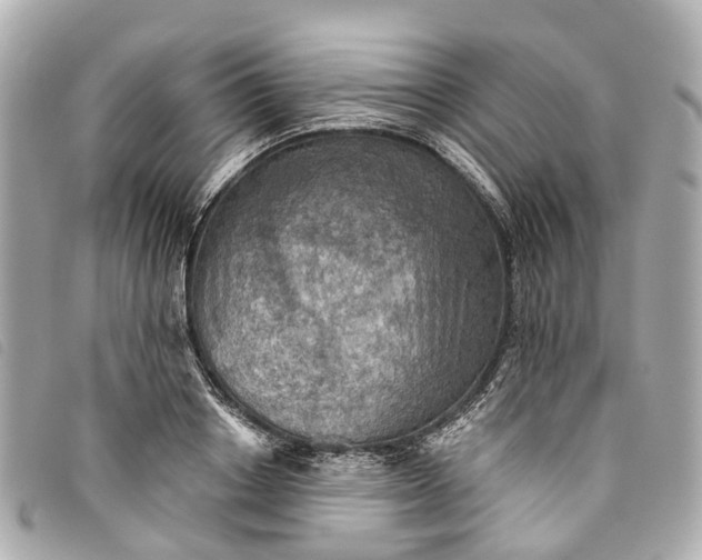 X0000093500842200710261136