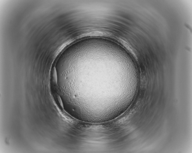 X0000093500845200710261136