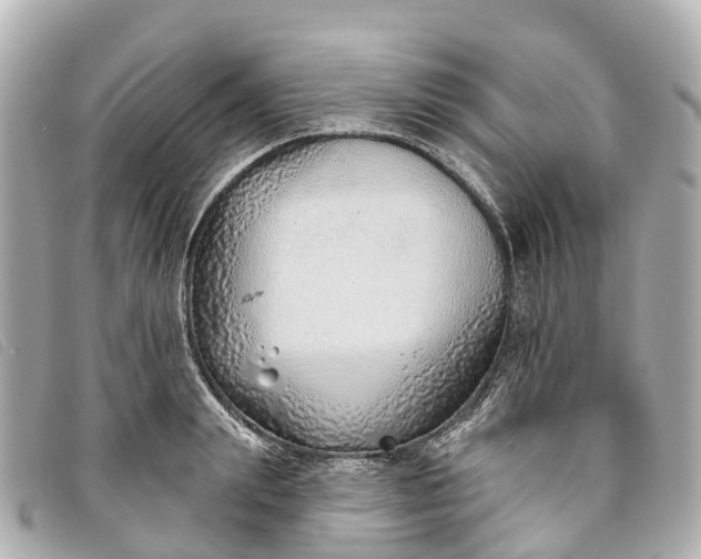 X0000093500847200710261136