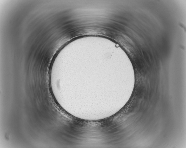 X0000093500848200710261136