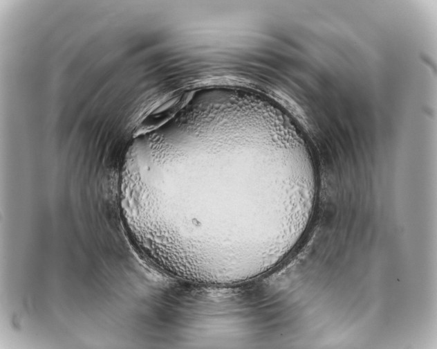 X0000093500849200710261136
