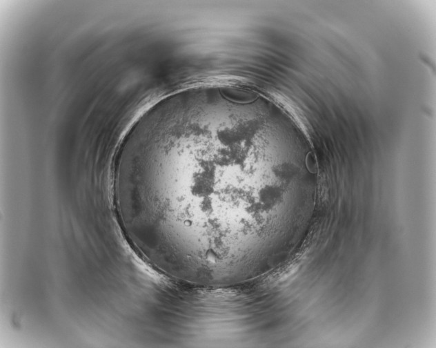 X0000093500851200710261136