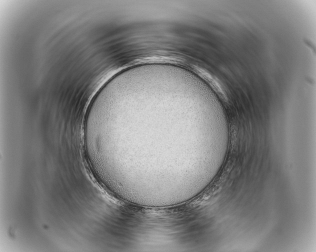 X0000093500852200710261136