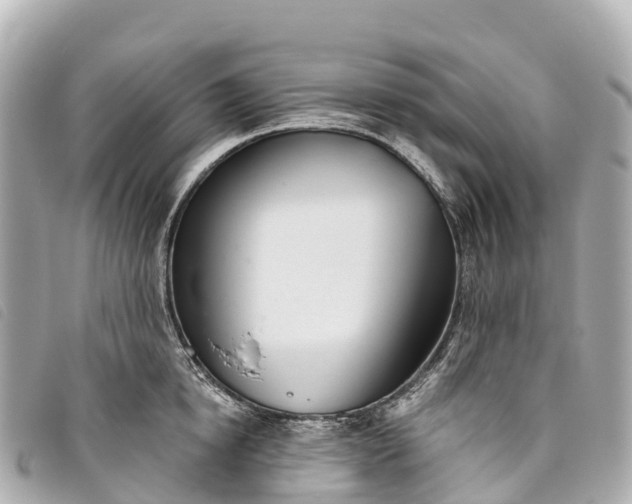 X0000093500854200710261136