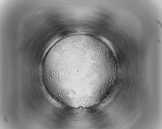 X0000093500859200710261136