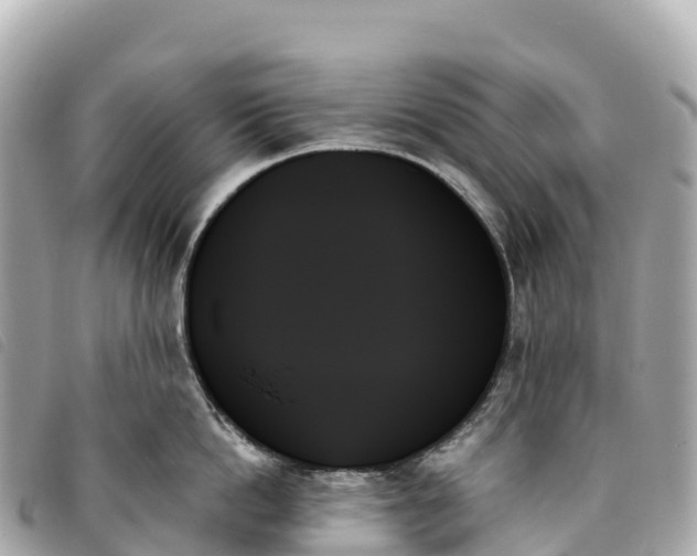 X0000093500862200710261136