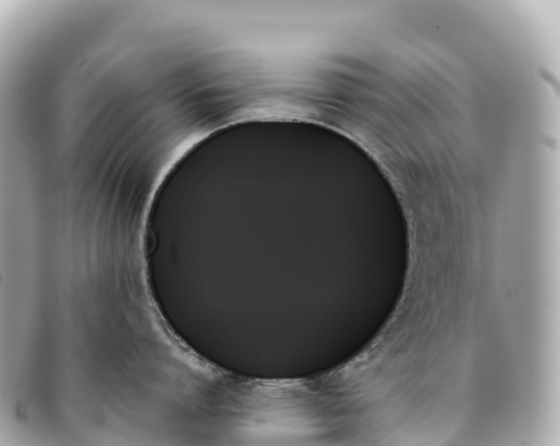 X0000093500864200710261136