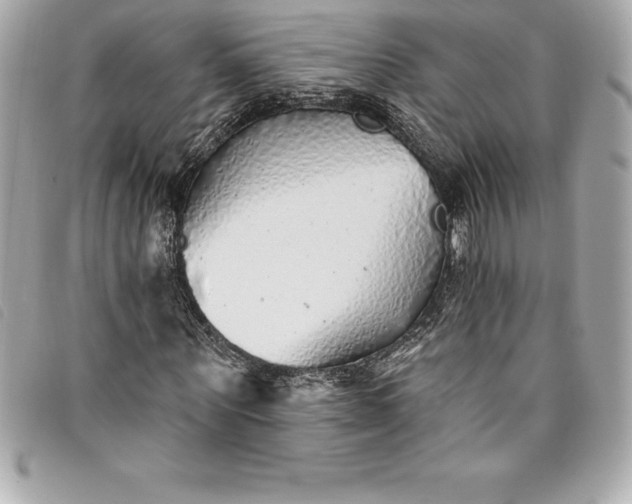 X0000093500867200710261136