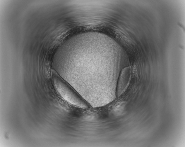 X0000093500868200710261136