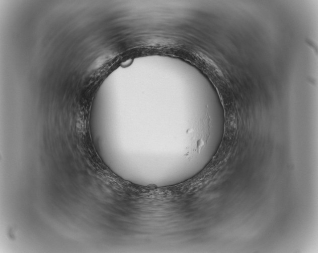X0000093500869200710261136