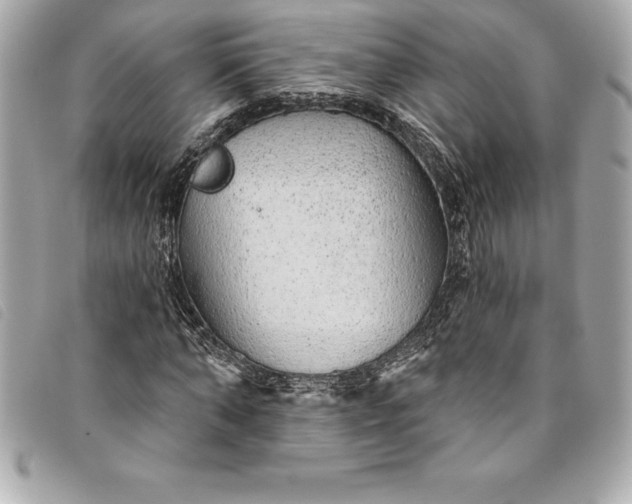 X0000093500870200710261136