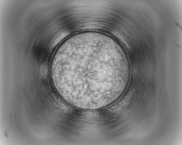 X0000093500874200710261136