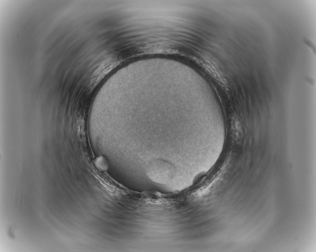 X0000093500881200710261136