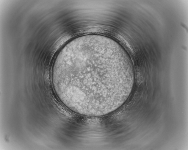 X0000093500882200710261135