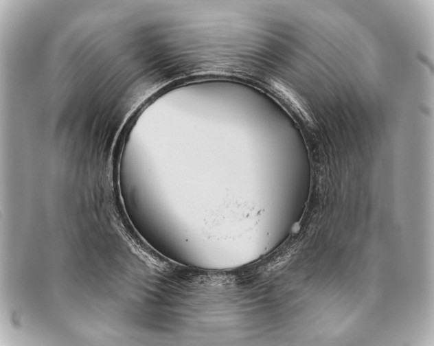 X0000093500884200710261135