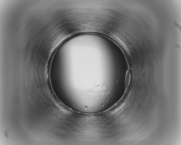 X0000093500885200710261135