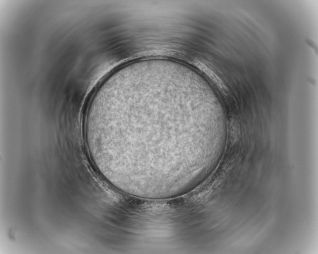 X0000093500886200710261135