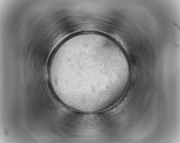 X0000093500887200710261135