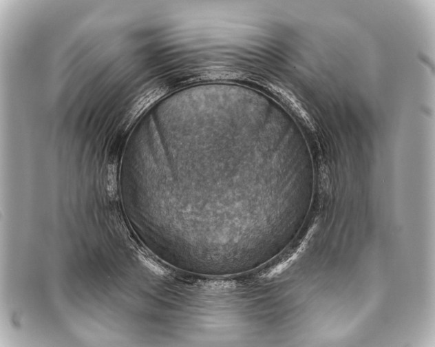X0000093500889200710261135