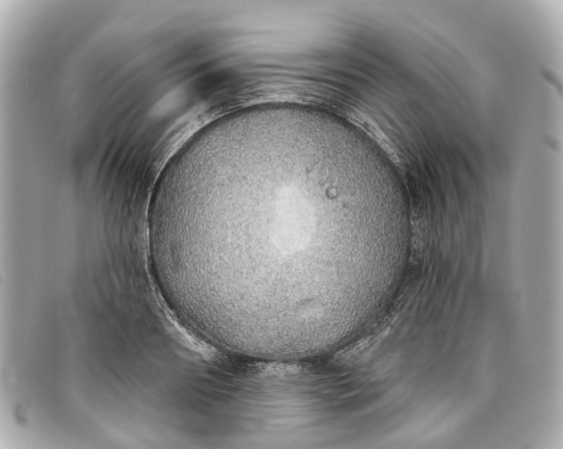 X0000093500890200710261135