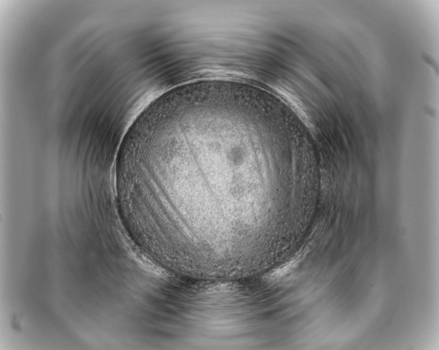 X0000093500891200710261135