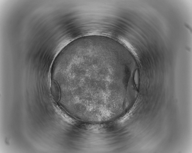 X0000093500892200710261135