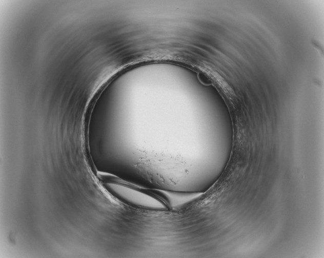 X0000093500894200710261135